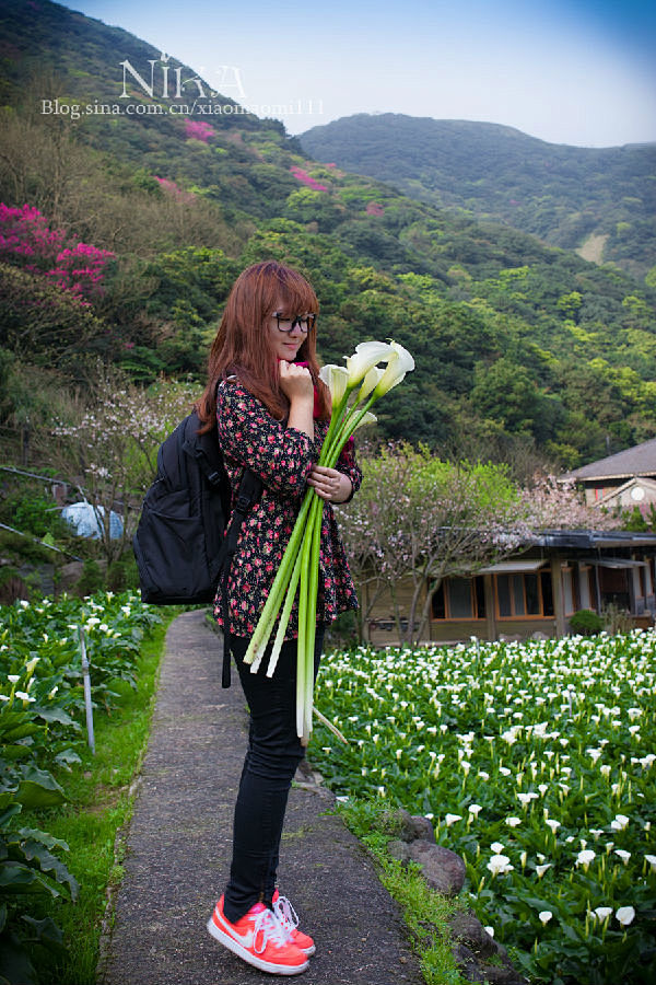 台北阳明山：转角“芋”见爱