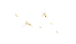 白鸽