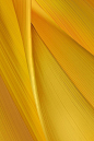 【黄色】Yellow