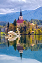 Lake Bled, Slovenia / 布莱德湖，斯洛文尼亚