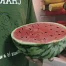 skfgdf23