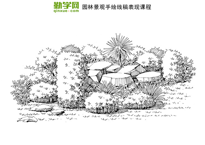 14灌木案例演练