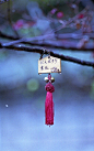 Ema 絵馬, a wooden tablet on which to write one's wishes: "Gambaro Tohoku (from 311)" on this particular one.  Ema (絵馬?) are small wooden plaques on which Shinto worshippers write their prayers or wishes. The ema are then left hanging up at the sh