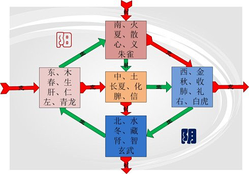 十二时辰气血经络流注运行图