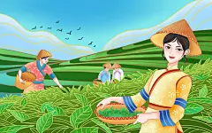 彩色卡通手绘春天谷雨少女采茶原创插画海报茶文化采茶采茶春茶