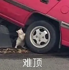 #表情包无水印##搞笑表情包#

“我怎么敢谈恋爱呢？我配吗？我整天的生活只有哈哈哈，我凭什么谈恋爱啊，凭对象生气的时候我对着他哈哈哈” ​​​​