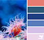 Design Seeds : Design Seeds color palettes ... posted daily for all who love color.