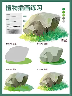扁平风植物插画‖草地上的石头_1_和季画画_来自小红书网页版