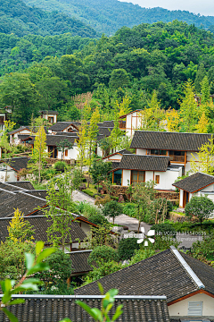 ZHANGZHANG-wow采集到新农村