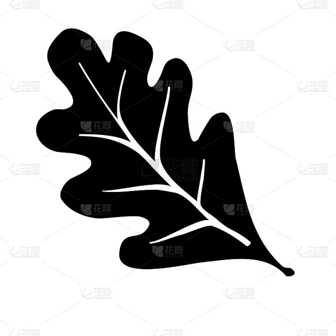 橡树叶矢量插图图标在黑色简单的设计轮廓在白色的背景。黑白标志矢量插图。素材-花瓣网