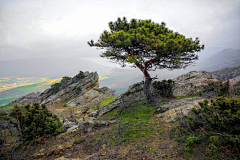 喵了个咪的昵称竟然已经存在了采集到A场景—山脉