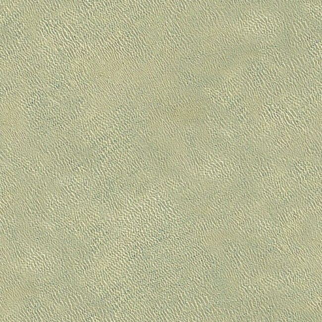 绿色草坪材质贴图