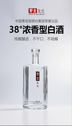 不二臣er采集到排版