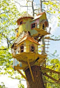 Awesome Tree Houses!