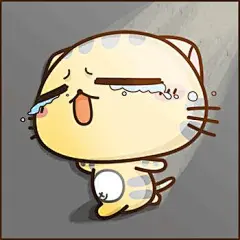 cc猫图片大全-cc猫高清好看的图片--花瓣绮妗的画板