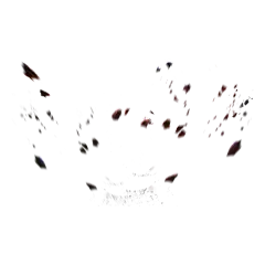碎石块