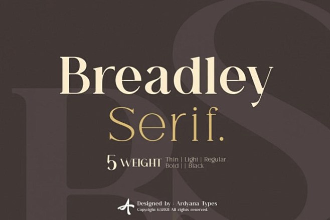 BreadleySerif-经典平面lo...