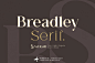 BreadleySerif-经典平面logo-衬线字体-英文字体下载-topimage