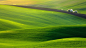 ID-913888-壮观的绿色领域-高清晰绿色草坪山坡壁纸高清大图