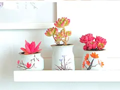 多肉植物花盆简约陶瓷花盆创意手绘韩式花纹手工创意云南治家森活-淘宝网