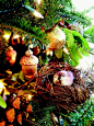 鸟窝圣诞
自然主题圣诞树