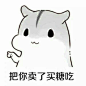 006BfqPigy1ffodrr878wj30go0goq3l