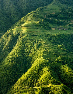 侍凡采集到风景