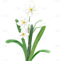 手绘-水彩花卉植物贴纸4