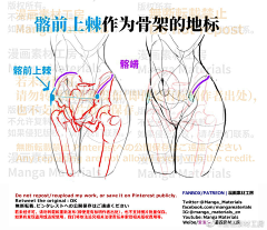 猫久酱采集到【女性人体】