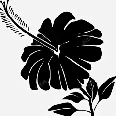 芙蓉花美丽芳香图标高清素材 植物性 美丽 芙蓉花 芳香 免抠png 设计图片 免费下载