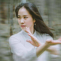 禅拳一如采集到武术
