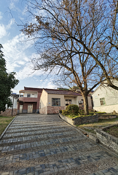 随风111923采集到乡村