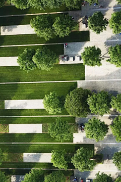 全中文昵称采集到建筑周边景观及植物