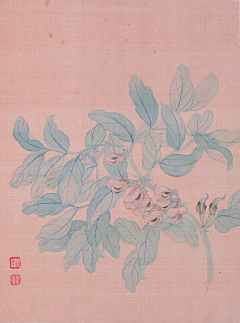 权志龙的小迷妹采集到没骨