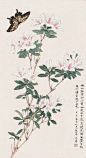 雨前初见花间蕊，
雨后兼无叶里花。
蛱蝶飞来过墙去，
应疑春色在邻家。
              ---王驾《晴晚》