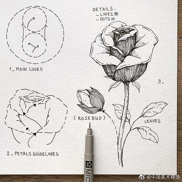 花 画法