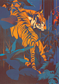 animals Nature tiger gorilla birds ILLUSTRATION  wildlife rainforest Tropical design