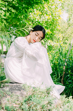 ～莣懮草～采集到人淡如菊