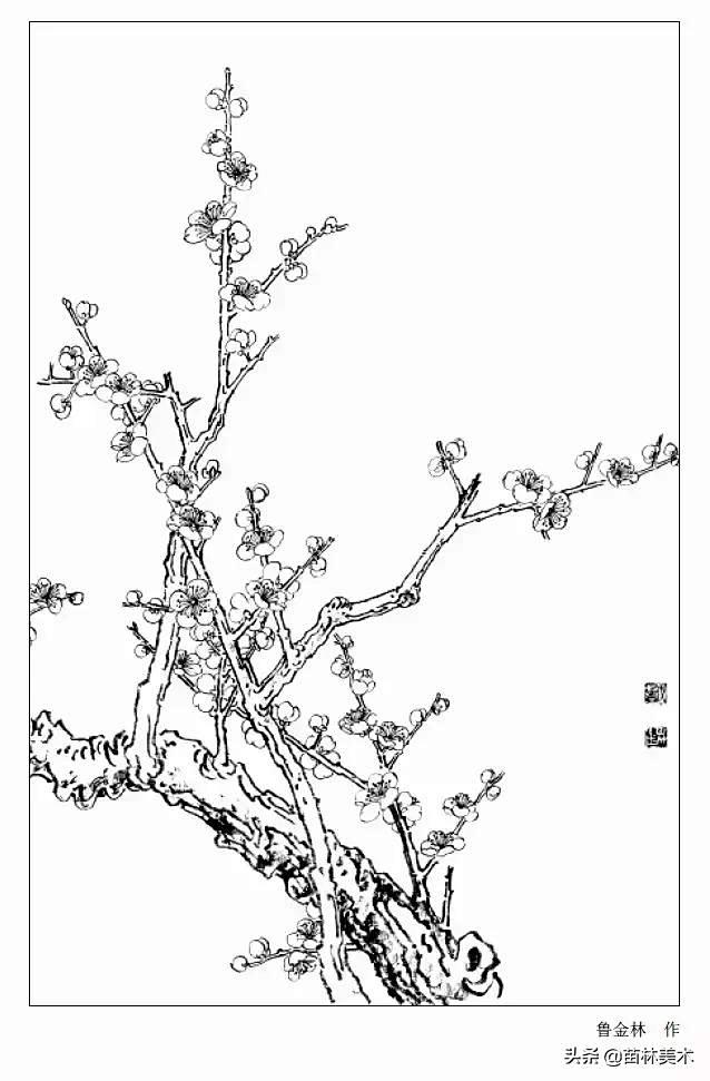 分享 | 9种花卉的各形态白描图 值得收...