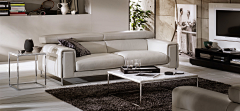 IdaLiu采集到Natuzzi