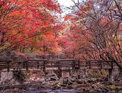 [kris带你云游花海】春来夏往，秋收冬藏，请收好这份四季“花海报表”,中国旅游攻略 - 马蜂窝