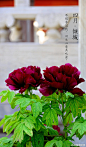 img-fa14952bbc4e9cb8f8c6a309581b383d