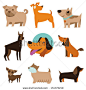 Vector set of funny cartoon dogs - illustration in flat style - stock vector