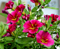 balcony-2565506_1280
