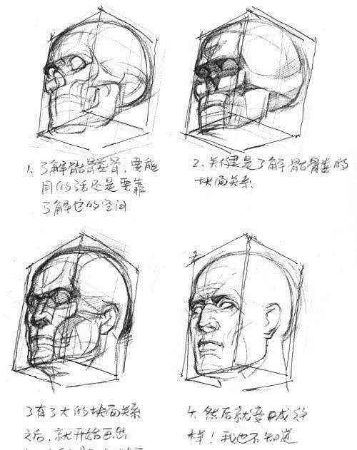 想画好头像你得先搞懂头骨结构 懂的了结构...