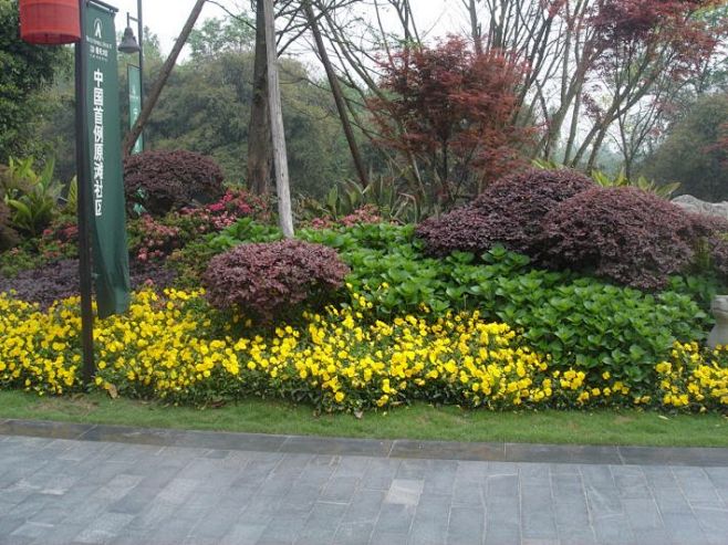 植物组团种植参考 - 景观设计 - Sk...