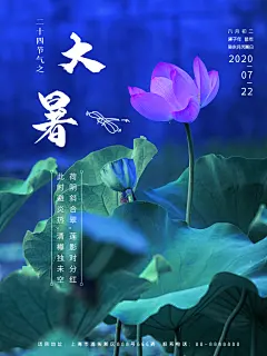 大暑节气简约大气海报