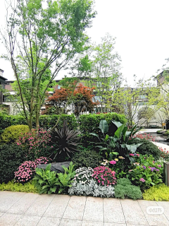 上海五天景观（雕塑）采集到植物 花镜 私家花园
