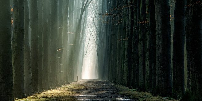 Lars van de Goor在 50...