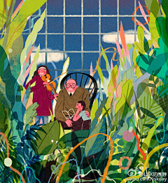 迷子君采集到插画植物